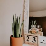 Brown Wooden Table With Green Plant