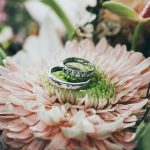 close up photography of silver-colored wedding rings on pink gerbera daisy flower