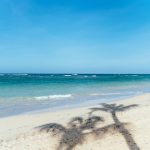 beach shore under blue sky during daytime